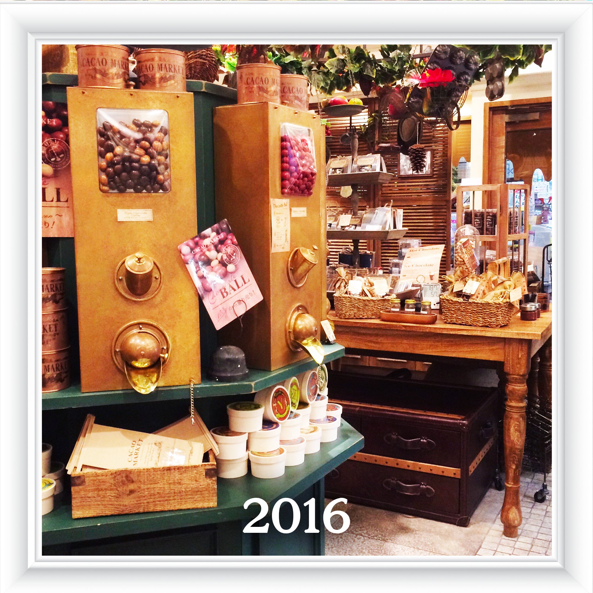 2016 || Cacao Market in Ishigaki