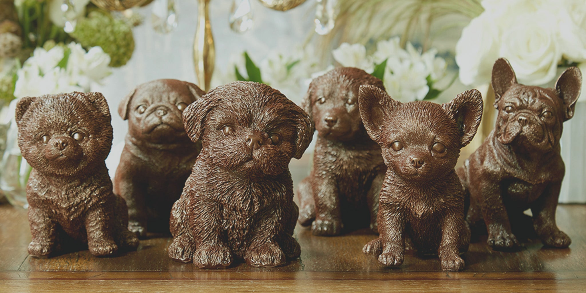 MarieBelle's New York Chocolate Pets Collection
