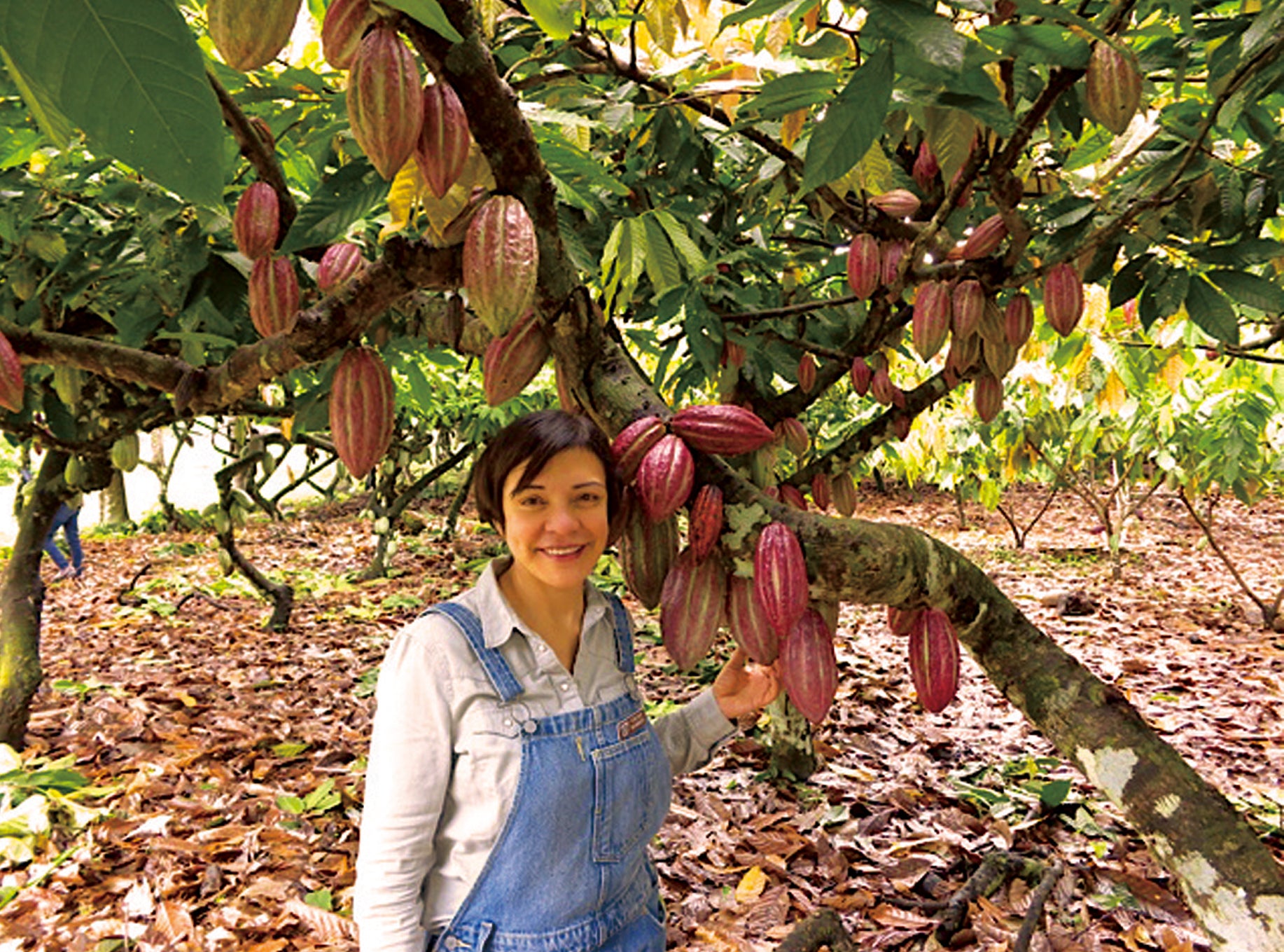 For the Love of Chocolate || MarieBelle New York Chocolate