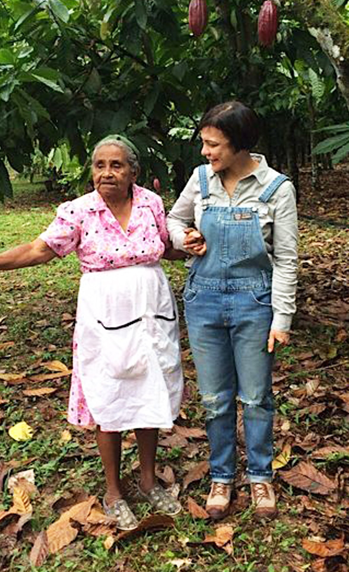 The Essence of MarieBelle New York Chocolates