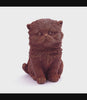 MarieBelle’s Chocolate Pet: Persian Cat 360 Degree View
