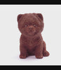 MarieBelle’s Chocolate Pet: Pomeranian 360 Degree View