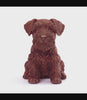 MarieBelle’s Chocolate Pet: Schnauzer360 Degree View